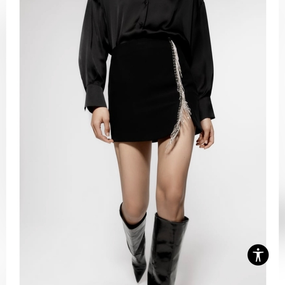 Zara Jewel fringed back skirt (M)( BNWT) - Picture 2 of 7